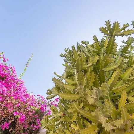 比塔罗拉兰萨罗特俱乐部酒店 公寓 卡门港