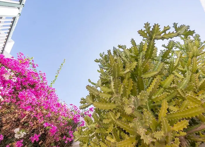 Bitacora Lanzarote Club 아파트 푸에르토 델 카르멘